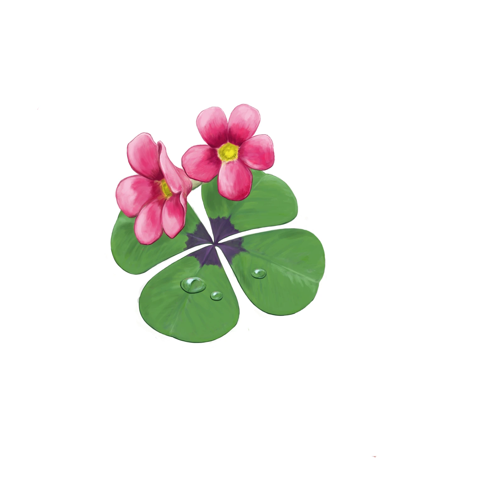 Logo_avd.Fyrklövern