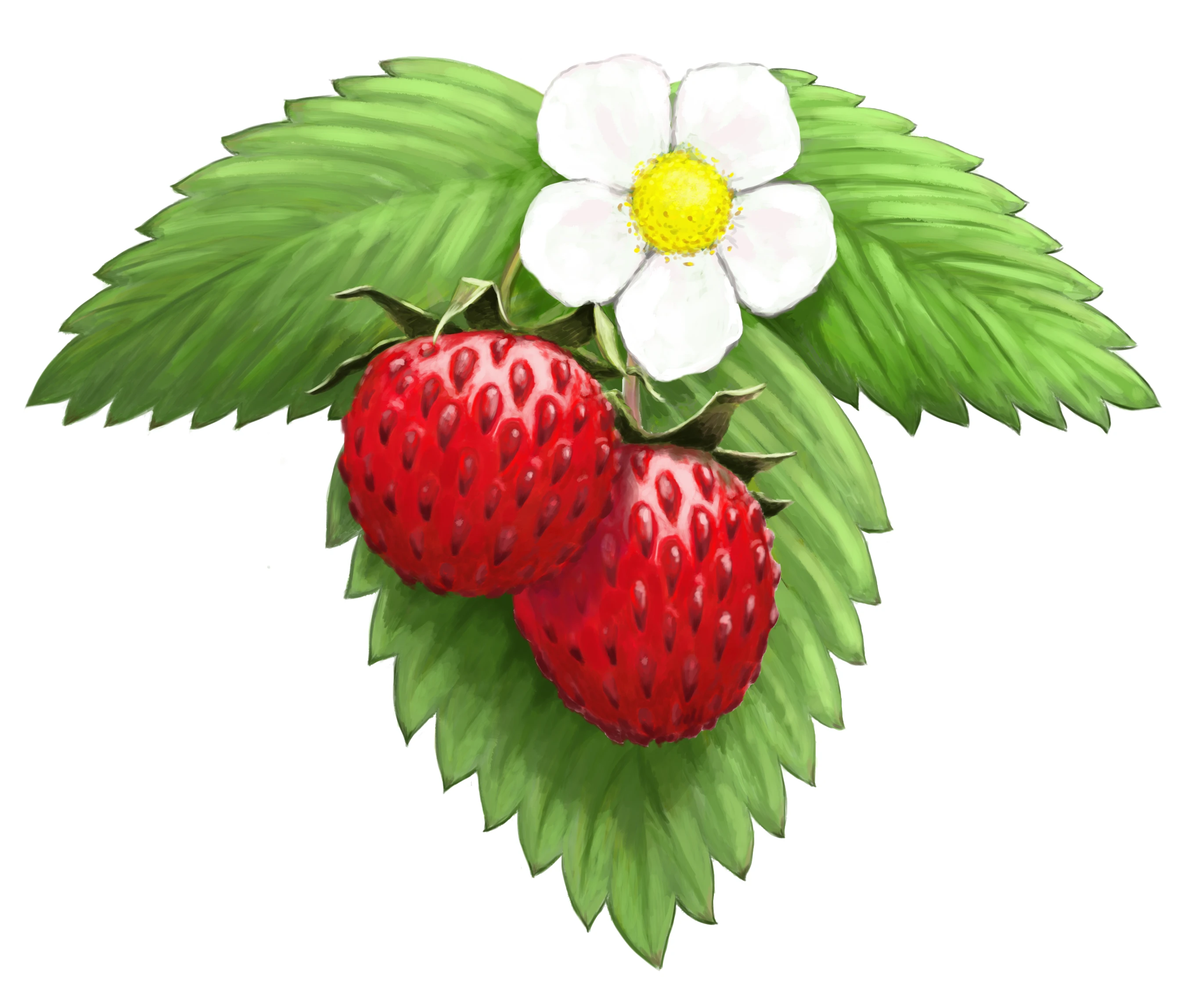 Logo_avd.Smultronet